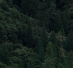 test product