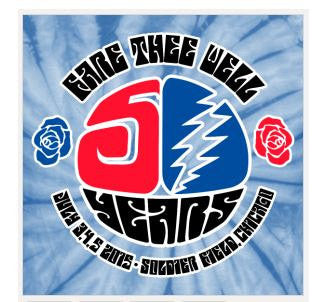 Grateful Dead Chicago Fare Thee Well Tie Dye Lot Shirt | Unisex